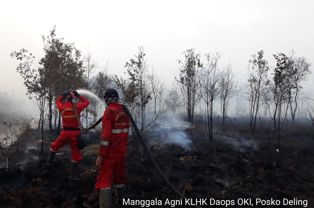 Officers from Manggala Agni Daops Banyuasin extinguish peatland fires in  Ibul 1 Village, Pemulutan District, Ogan Ilir Regency, South Sumatra. This  land fire occurred at 10.00 WIB with an area of ????about