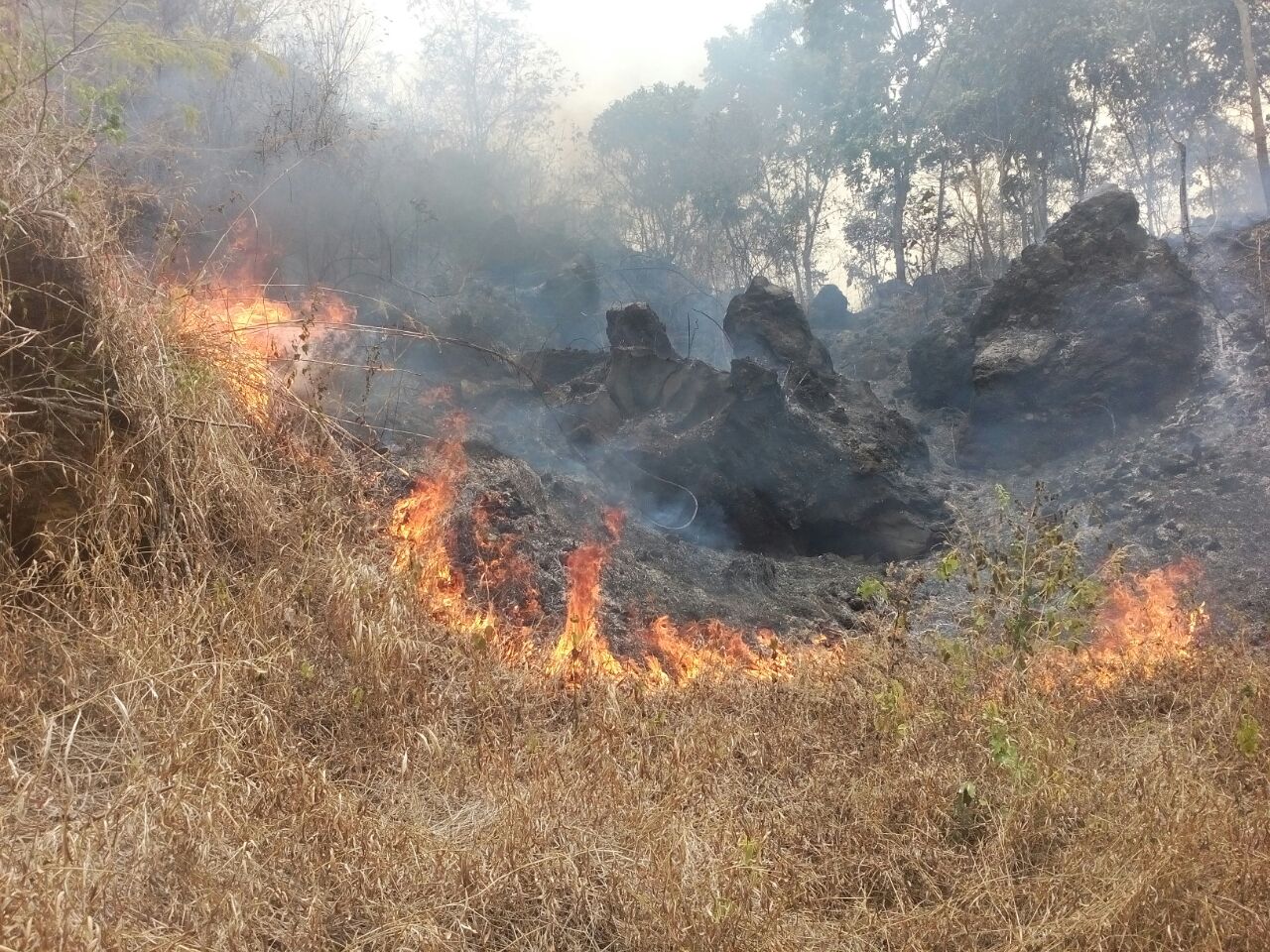 PPID | Kementrian Lingkungan Hidup Dan Kehutanan | Kebakaran Hutan Di ...