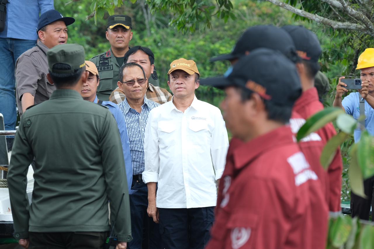 PPID | Kementrian Lingkungan Hidup Dan Kehutanan | Dukungan Pemulihan ...