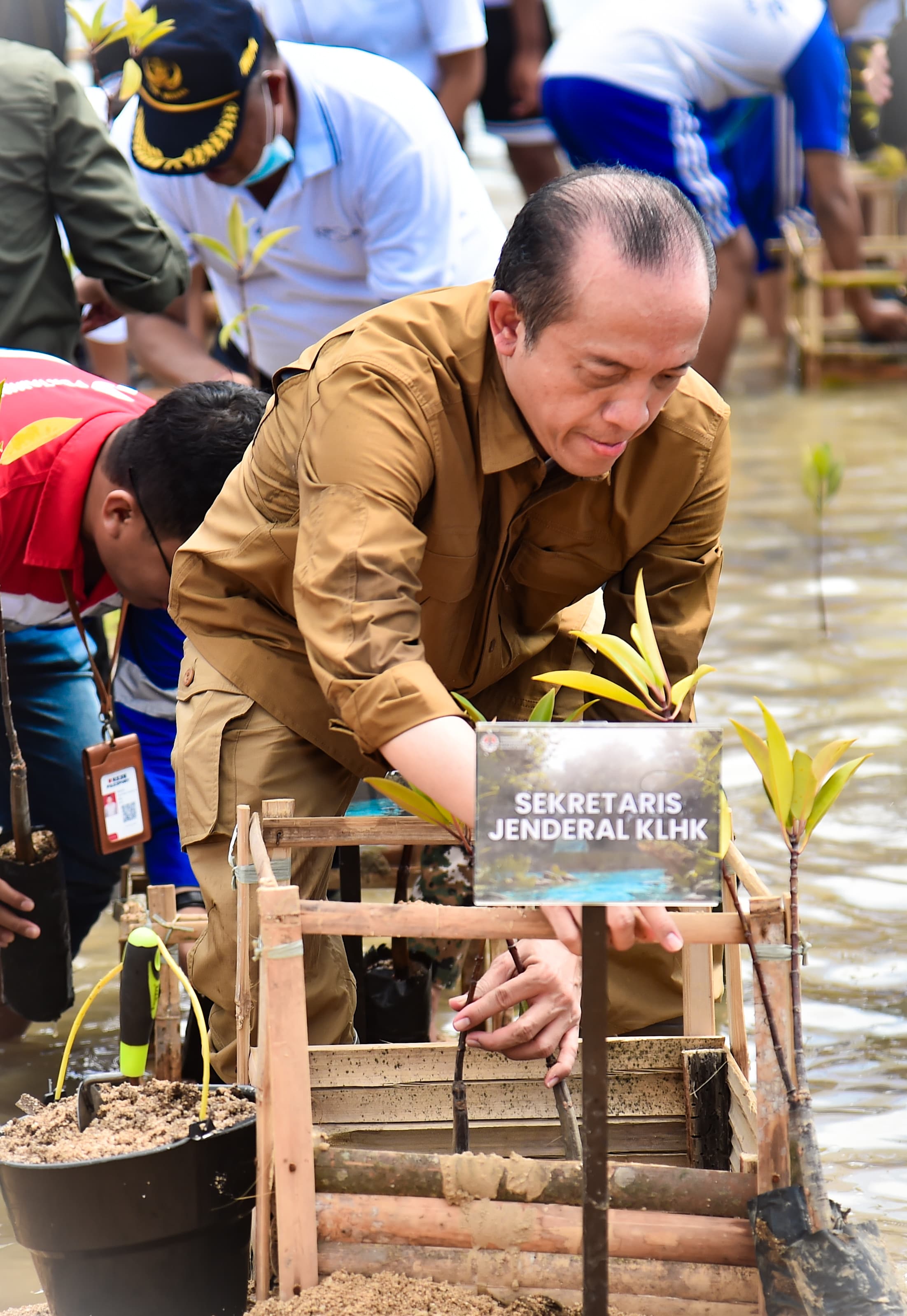 Ppid Kementrian Lingkungan Hidup Dan Kehutanan Sekjen Klhk Pimpin Tanam Mangrove Di Bali